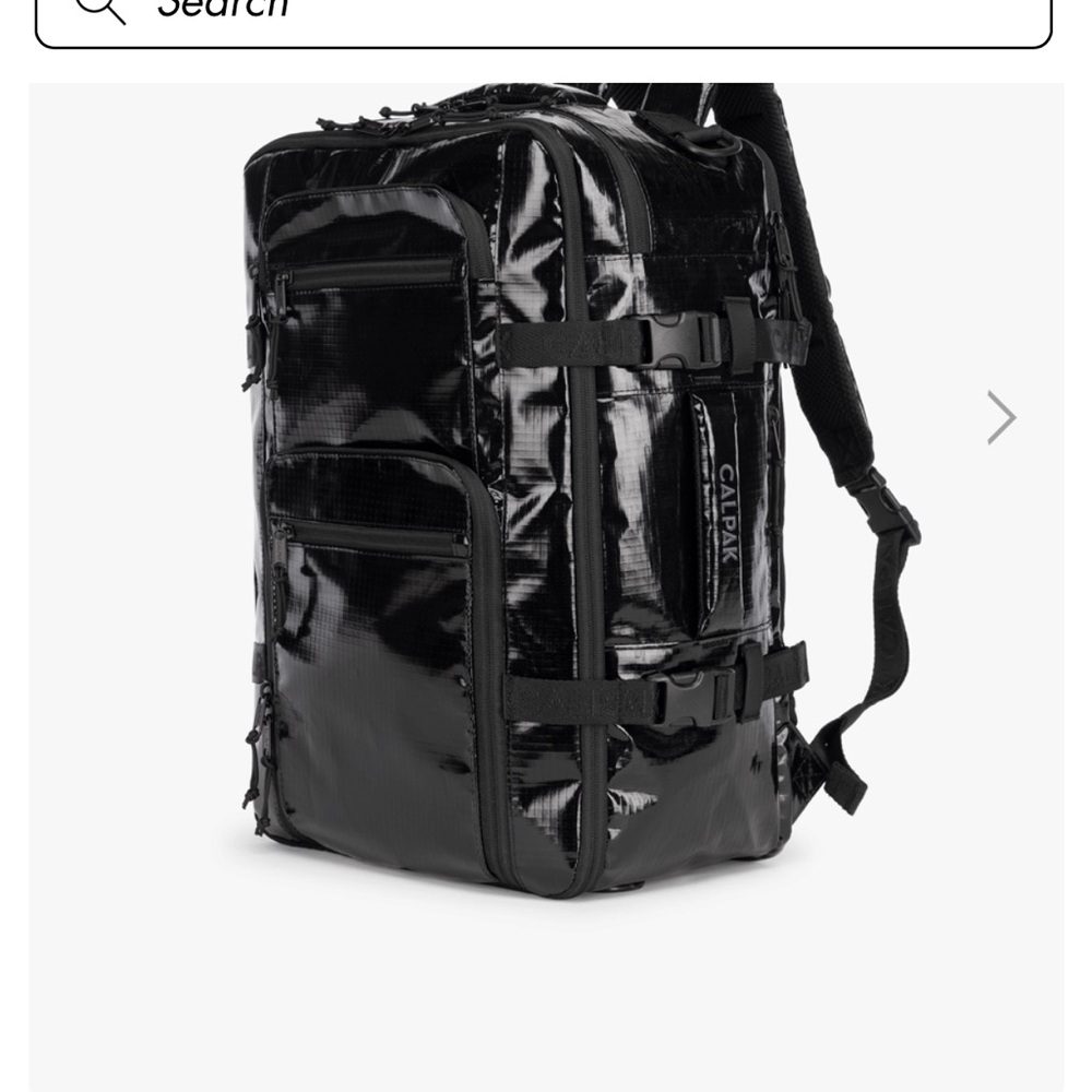 ISO Calpak Terra 26L Laptop Duffel Backpack